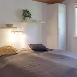 Awesome In With 3 Bedrooms And Wifi